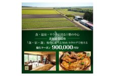 ＜北海道ツアー＞帯広市 後から選べる旅行Webカタログで使える!旅行クーポン 90万円分【1547793】