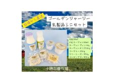 ゴールデンジャージー乳製品(牛乳・のむヨーグルト・プレン・オリゴ・チーズ3種)ミニセット【1595681】