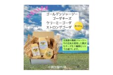ゴールデンジャージー ゴーダ&クリーミーゴーダ&ストロングゴーダ　各100g【1601816】