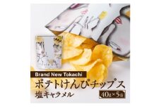 ポテトけんぴチップス(塩キャラメル) 5袋＜Brand New Tokachi＞【1607797】