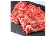 ＜トヨぽん付＞豊西牛肩ローススライス300g【1606991】