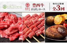 ＜毎月定期便＞豊西牛お試しコース全3回【4065346】