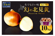 【予約：2025年9月下旬から順次発送】幻の北見黄 北海道北見産 10kg ( 野菜 たまねぎ 玉ねぎ タマネギ Lサイズ 10キロ 詰合せ )【002-0004-2025】