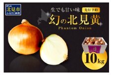 【予約：2025年9月下旬から順次発送】幻の北見黄 北海道北見産 10kg ( 野菜 たまねぎ 玉ねぎ タマネギ Lサイズ 10キロ 詰合せ )【002-0004-2025】