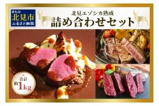 北見エゾシカ熟成 ドライエイジング 詰め合わせセット ( 計約1kg 肉類 肉 鹿肉 熟成肉 セット 詰め合わせ 1キロ )【025-0025】