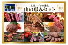 北見エゾシカ 熟成肉山の恵みセット ( 肉類 肉 国産 鹿肉 熟成 セット 詰め合わせ 骨付き ロース しんたま 内もも ステーキカット肉 ハバキカット ハツ ヒレ ステーキ用スライス )【025-0030】