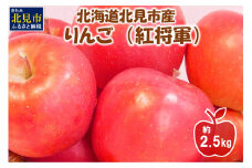 【予約：2025年10月下旬から順次発送】北海道北見市産りんご 紅将軍 約2.5kg ( りんご リンゴ 林檎 果物 フルーツ 期間限定 )【044-0004-2025】