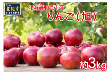 【予約：2025年10月から順次発送】北海道北見市産 りんご 旭 約3kg ( りんご リンゴ 林檎 果物 フルーツ 期間限定 )【044-0003-2025】