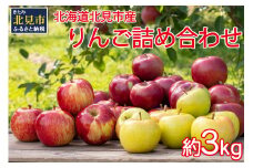 【予約：2025年10月から順次発送】季節のりんご詰め合わせ 3kg ( りんご リンゴ 林檎 詰合せ 3kg 旭 つがる 黄王 レッドゴールド ジョナゴールド 昴林 森の輝き 王林 ふじ )【044-0002-2025】