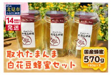 《14営業日以内に発送》採れたまんまの白花豆蜂蜜 190g×3本セット ( 蜂蜜 はちみつ ハチミツ 蜜 甘い 白花豆 蜂 純粋蜂蜜 贅沢 国産 酸味 おいしい おやつ 天然 自然 )【022-0011】
