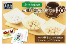 北海道銘菓 山樹氷 詰合せセットB ( お菓子 おやつ 詰合せ セット ふるさと納税 )【030-0004】