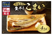 《14営業日以内に発送》北海道産 生干しこまい 1kg×4箱 ( 干物 おつまみ コマイ 4キロ ４箱 海鮮 魚介 加工品 加工食品 干しこまい 魚 生干し 北海道 こまい )【035-0009】