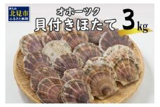 【予約：2025年3月下旬から順次発送】オホーツク貝付きほたて 3kg(15枚～25枚)( ホタテ ほたて 貝付きほたて 帆立 ホタテ貝 帆立貝 ほたて貝 北海道 北海道産 魚介類 海鮮 魚介 魚介類 貝 貝類 殻付き 貝柱 贈答 ギフト 贈り物 お中元 お祝い BBQ バーベキュー )【031-0003-2025】