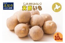 【予約：2024年10月中旬から順次発送】北海道 JAきたみらい「黄爵(とうや)いも」10kg ( 期間限定 野菜 芋 )【005-0013-2024】