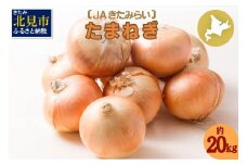 【予約：2024年10月上旬から順次発送】北海道 JAきたみらい「たまねぎ」20kg ( 期間限定 野菜 玉ねぎ 玉葱 )【005-0024-2024】