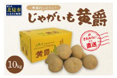 【予約：2025年10月中旬から順次発送】煮くずれしにくく、カレーや肉じゃがにピッタリ！JAきたみらいから直送する新鮮じゃがいも「黄爵」10kg ( 野菜 期間限定 芋 北海道 )【104-0002-2025】