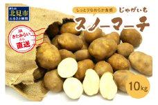 【予約：2025年10月中旬から順次発送】ホワイトシチューやグラタンにオススメ！JAきたみらいから直送する新鮮じゃがいも「スノーマーチ」10kg ( 野菜 期間限定 北海道 )【104-0003-2025】