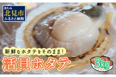 活貝ホタテ 3kg ( オホーツク 貝柱 魚介類 魚介 海鮮 貝類 帆立 刺身 バーベキュー BBQ )【091-0011-2024】