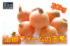 【予約：2025年10月中旬から順次発送】山田ファームの玉葱 20kg Lサイズ以上 ( 野菜 やさい 玉ねぎ タマネギ 20キロ )【123-0001-2025】