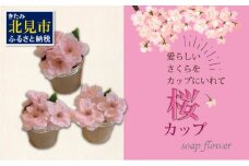 世界一小さなアレンジメント 桜カップ 3個セット ( プレゼント 花 ソープフラワー 桜 )【122-0002】