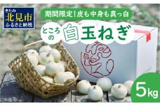 【予約：2025年7月中旬から順次発送】ところの白玉ねぎ 5kg ( 玉ねぎ タマネギ 玉葱 野菜 白玉ねぎ 5キロ 期間限定 辛みが少ない 生食 )【121-0005-2025】