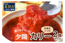 クリシュナ 夏のオホーツク夕陽のカリー2食セット 手焼きナン付 ( カレー ナン インド レンジ インドカレー トマト 激辛カレー )【127-0002】