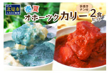 クリシュナ 春夏オホーツクカリー 2食セット 手焼きナン付 ( 食品 加工品 惣菜 カレー ナン セット 五つ星ホテル オホーツク海 オホーツクカレー )【127-0005】