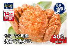 《14営業日以内に発送》オホーツク海産 浜茹で毛がに 400g×1パイ 冷凍 ( かに カニ 毛ガニ 魚介類 蟹 )【114-0012-2024】