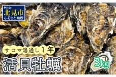 【予約：2024年11月上旬から順次発送】サロマ湖湯通し1年 活貝牡蠣3キロ ( カキ 魚介類 期間限定 3kg )【091-0001-2024】