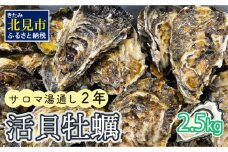 【予約：2024年11月上旬から順次発送】サロマ湖湯通し2年 活貝牡蠣 2.5キロ  ( カキ 魚介類 期間限定 2.5kg )【091-0003-2024】