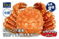 【予約：2025年3月下旬から順次発送】【旬の浜ゆで毛ガニを冷蔵便で】オホーツク海産 浜茹で海明け毛がに 約400g×1パイ 冷蔵 ( かに 蟹 魚介類 海鮮 )【114-0017-2025】