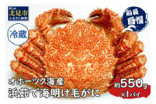 【予約：2025年3月下旬から順次発送】【旬の浜ゆで毛ガニを冷蔵便で】オホーツク海産 浜茹で海明け毛がに 約550g×1パイ 冷蔵 ( かに 蟹 魚介類 海鮮 )【114-0027-2025】