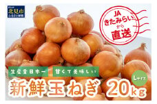 【予約：2025年10月中旬から順次発送】☆日本農業賞大賞受賞☆JAきたみらいから直送する甘くて美味しい新鮮玉ねぎ 20kg Lサイズ ( たまねぎ 野菜 北海道 玉葱 )【104-0008-2025】