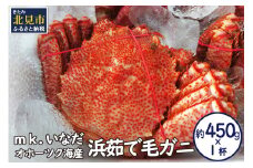 オホーツク海産 浜茹で毛ガニ 約450g×1杯 ( 海鮮 かに カニ 蟹 毛ガニ ボイル 贈答 ギフト 急速冷凍 )【113-0011】