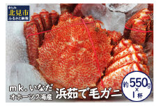 オホーツク海産 浜茹で毛ガニ 約550g×1杯 ( 海鮮 かに カニ 蟹 毛ガニ ボイル 贈答 ギフト )【113-0012】