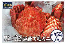 オホーツク海産 浜茹で毛ガニ 約450g×2杯 ( 海鮮 かに カニ 蟹 毛ガニ ボイル 贈答 ギフト )【113-0013】