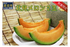 【予約：2025年7月上旬から順次発送】【特優品100箱限定！】ＪＡきたみらいから直送する香り良く甘くてジューシーな北見メロン ( メロン めろん 果物 期間限定 数量限定 フルーツ 果汁 果肉 )【104-0013-2025】