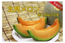 【予約：2026年7月上旬から順次発送】【特優品50箱限定！】ＪＡきたみらいから直送する香り良く甘くてジューシーな北見メロン ( メロン めろん 果物 期間限定 数量限定 フルーツ 果汁 果肉 )【104-0013-2026】