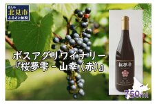 【オホーツクブランド認証ワイン】北見産ぶどう100％のワイン 桜夢雫 山幸(赤)( 山幸 赤 ワイン 北見市産ぶどう ぶどう 赤ワイン オホーツク ディナー )【075-0006-2023】