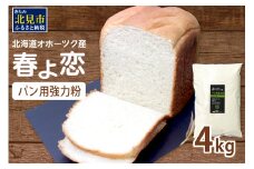 【北海道オホーツク産】パン用強力粉 春よ恋 4kg　※賞味期限30日保証 ( パン用強力粉 北海道産 小麦粉 パン 製パン )【056-0001】