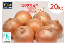 北海道安心ラベル「Yes!clean」認証！北見市常呂の玉ねぎ 20kg ( たまねぎ 野菜 期間限定 )【009-0001-2024】