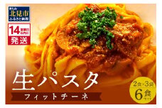 《14営業日以内に発送》【北海道産小麦100％使用】津村製麺所がつくる本格 生パスタ フィットチーネ 6食入 ( パスタ 麺 麺類 北海道 北見市 生麺 モチモチ )【003-0031】