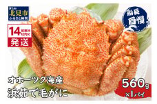 《14営業日以内に発送》オホーツク海産 浜茹で毛がに 560g×1パイ 冷凍 ( かに カニ 毛ガニ 魚介類 蟹 )【114-0024-2024】