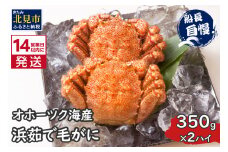 《14営業日以内に発送》オホーツク海産 浜茹で毛がに 350g×2ハイ 冷凍 ( かに カニ 毛ガニ 魚介類 蟹 )【114-0021-2024】
