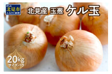 【予約：2025年11月から順次発送】北見産玉ねぎ ケル玉 20kg ( 機能性玉葱 サイズバラ 玉ねぎ たまねぎ タマネギ 玉葱 オニオン ケル玉 野菜 北海道 長期貯蔵 )【133-0002-2025】