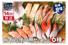 《14営業日以内に発送》船長自慢の海鮮セット ( 海鮮セット 海鮮 魚介類 ホッケ ナメタガレイ いか サーモン 鮭 時鮭 紅鮭 )【114-0025】