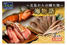 【3ヶ月定期便】 海物語～北見からの贈り物～ ( 海鮮 海の幸 定期便 ホッケ カニ さけ しゃけ 紅鮭 蟹 かに ほっけ 魚 逸品 )【999-0045】