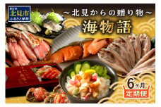 【6ヶ月定期便】海物語～北見からの贈り物～ ( 海鮮 定期便 ホッケ カニ さけ 鮭 蟹 しめ鯖 シメサバ 海鮮丼 貝 ほたて ホタテ つぶ貝 ウニ )【999-0188】