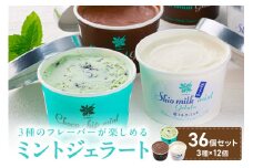 ミントジェラート カップ 3種×12個 ( アイス ジェラート スイーツ ミント カップ セット ふるさと納税 )【007-0020】