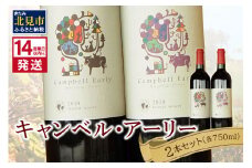 《14営業日以内に発送》キャンベル・アーリー2本セット ( ワイン お酒 酒 ぶどう セット )【138-0004】